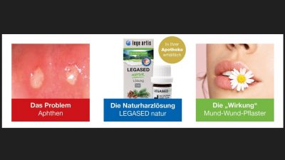 LEGASED natur von lege artis